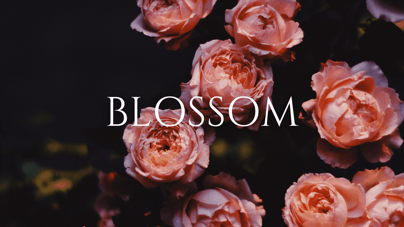 Blossom Spa Day Package