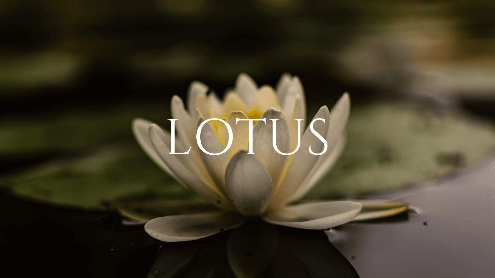 Lotus Spa Access Package