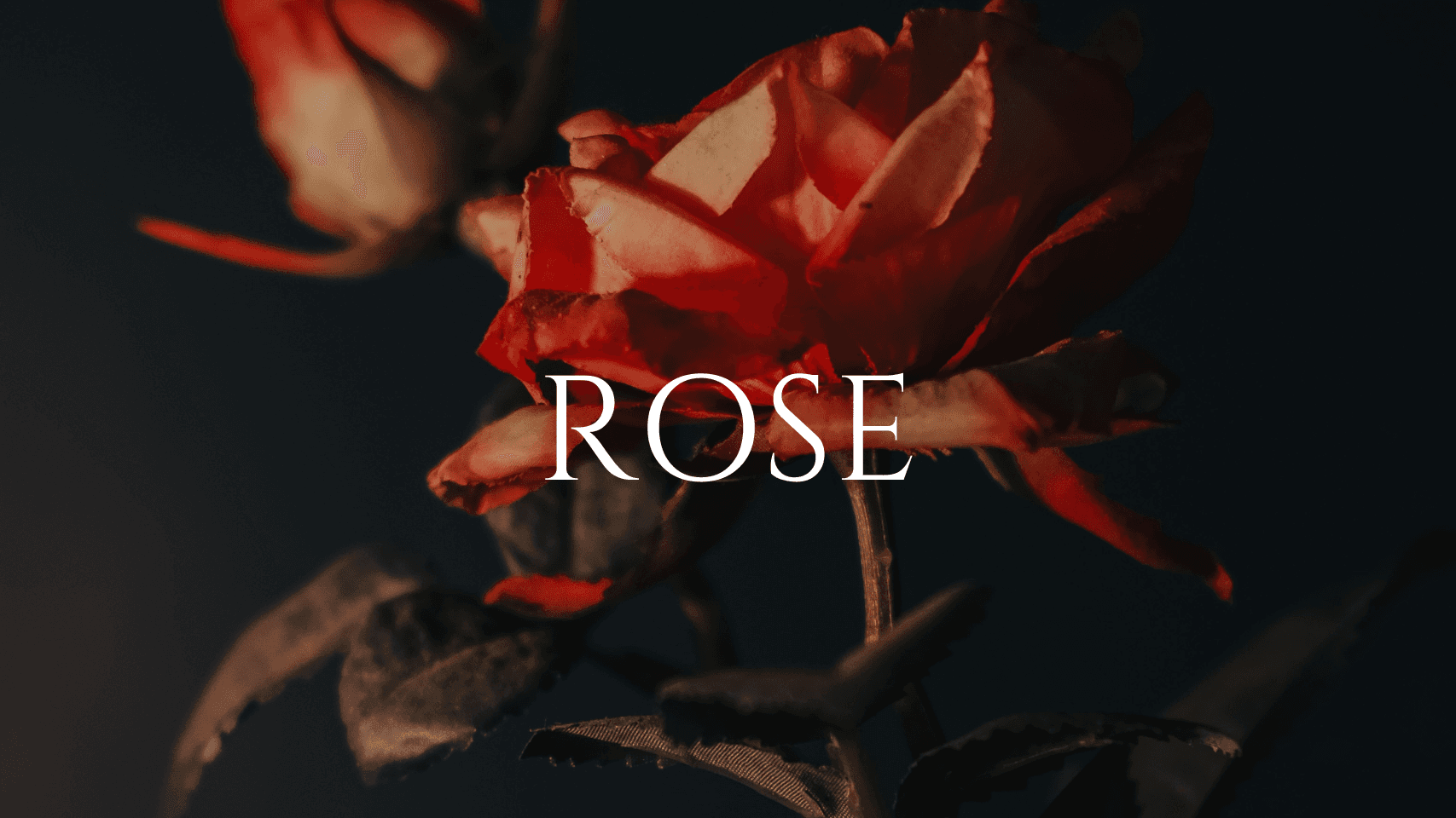 Rose Spa Day Package